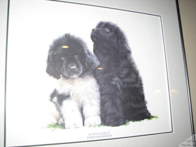 Фотография № 12517