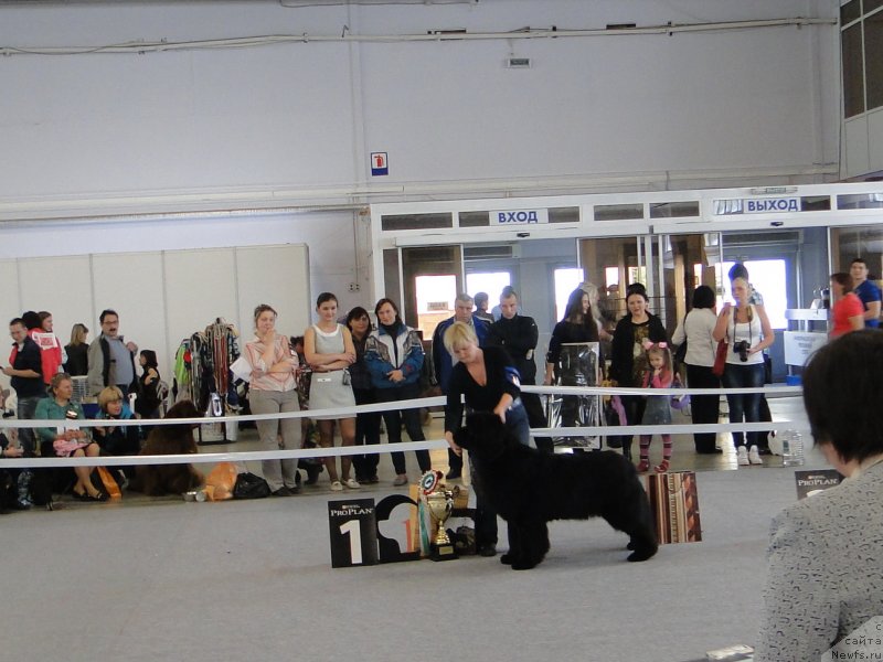 Фотография № 125170