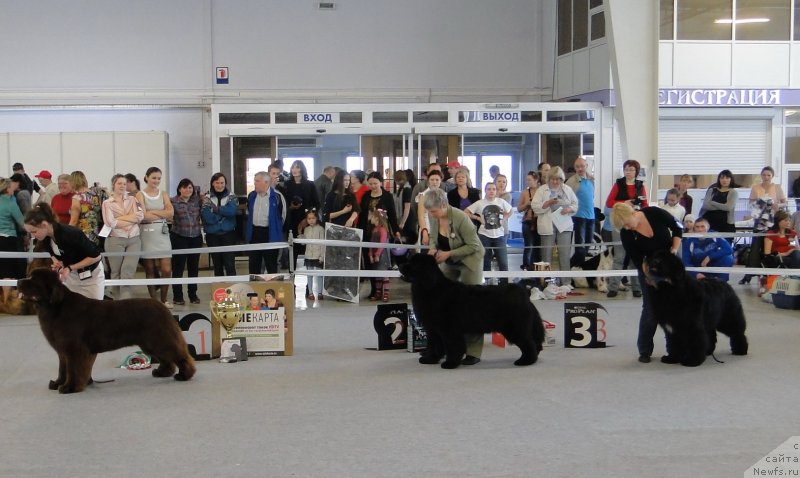 Фотография № 125172