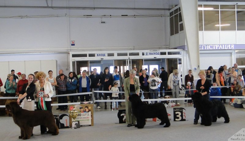 Фотография № 125173