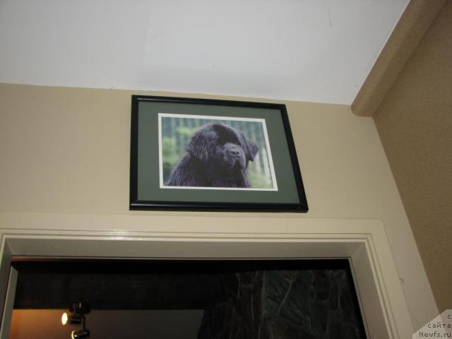 Фотография № 12518