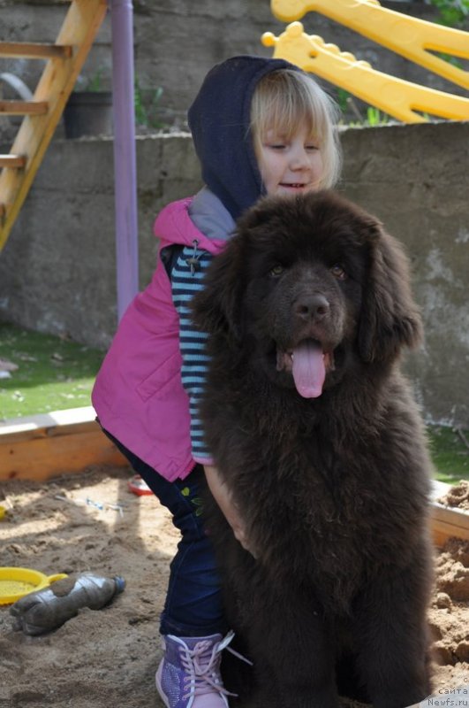 Фотография № 125188