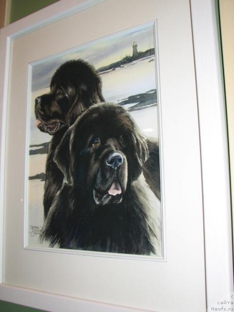 Фотография № 12519