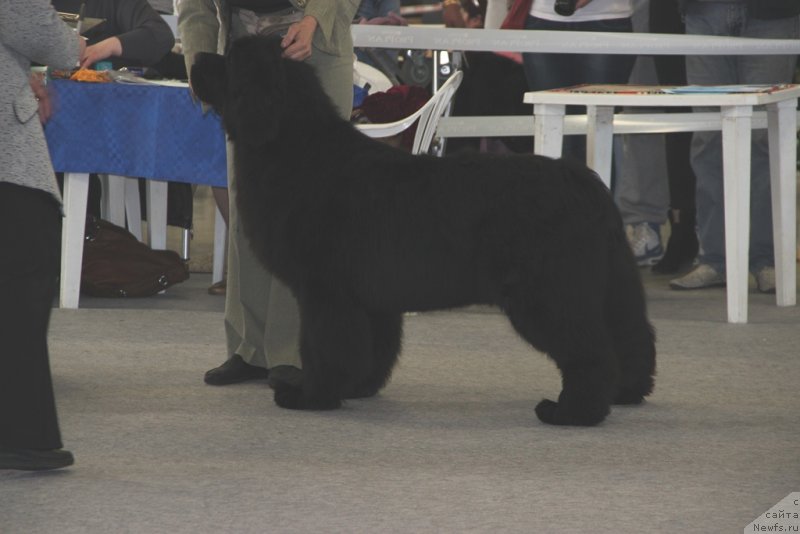 Фотография № 125201