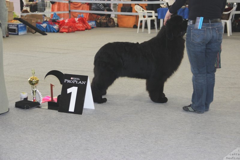 Фотография № 125202