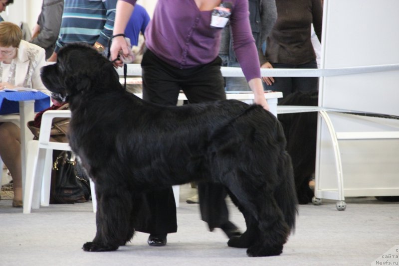 Фотография № 125204