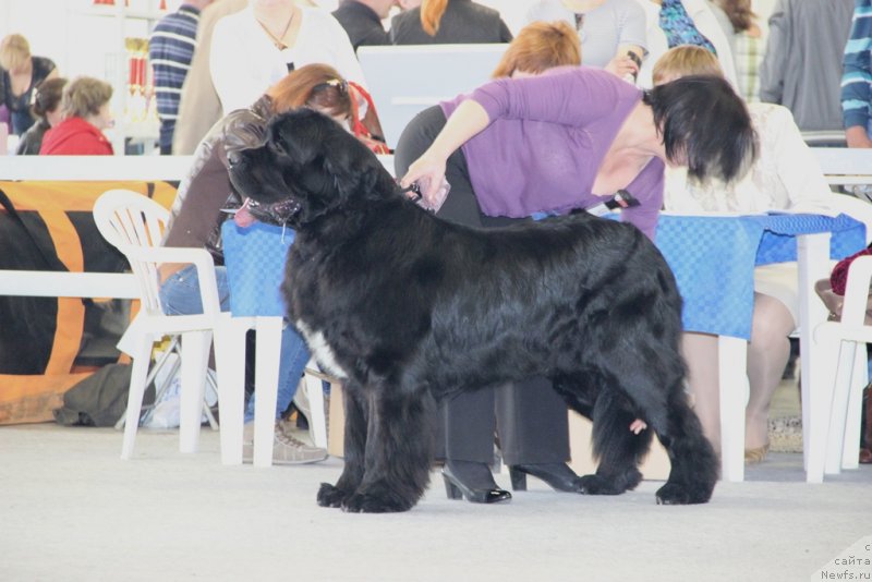 Фотография № 125205