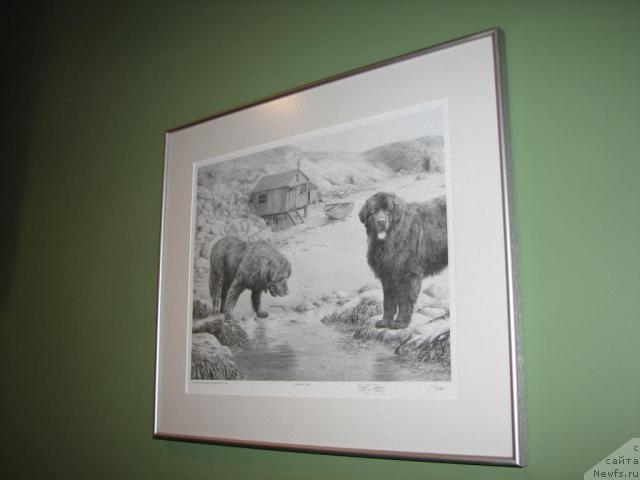 Фотография № 12521