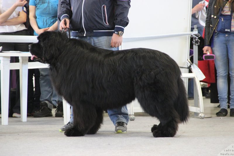 Фотография № 125215