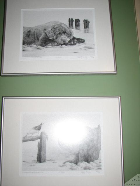 Фотография № 12522