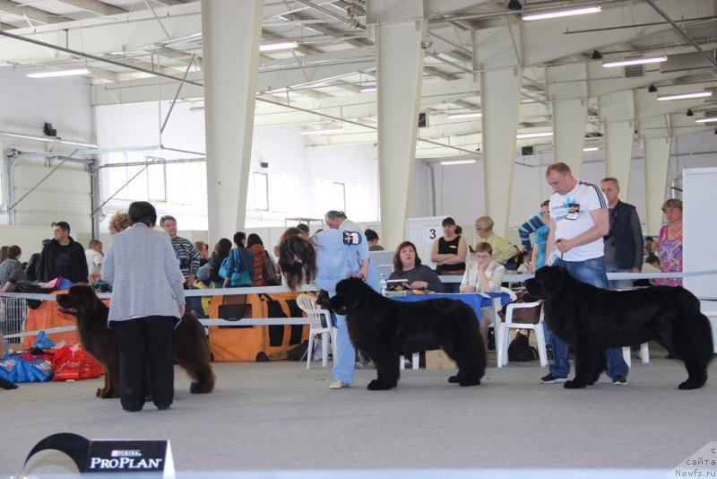 Фотография № 125223