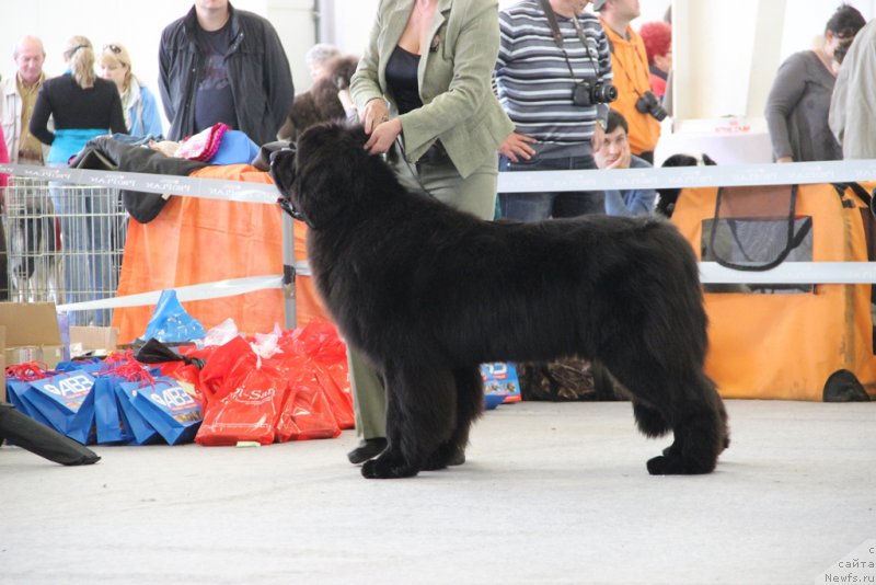 Фотография № 125226