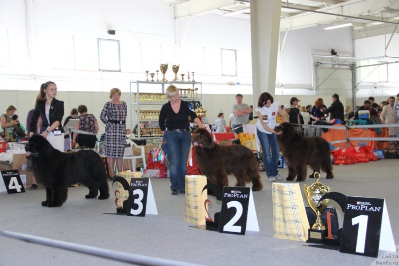 Фотография № 125228