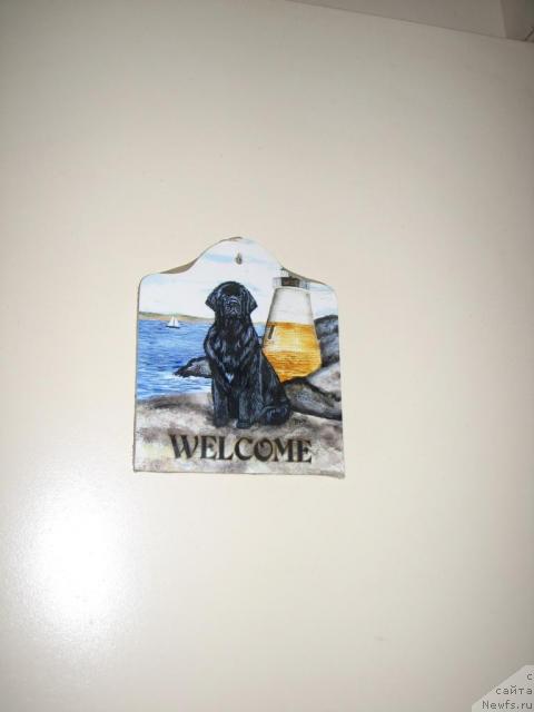 Фотография № 12523