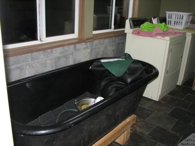 Фотография № 12525