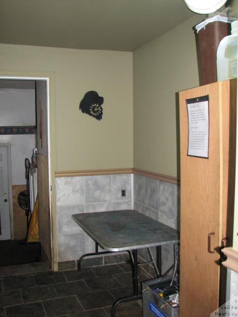 Фотография № 12526