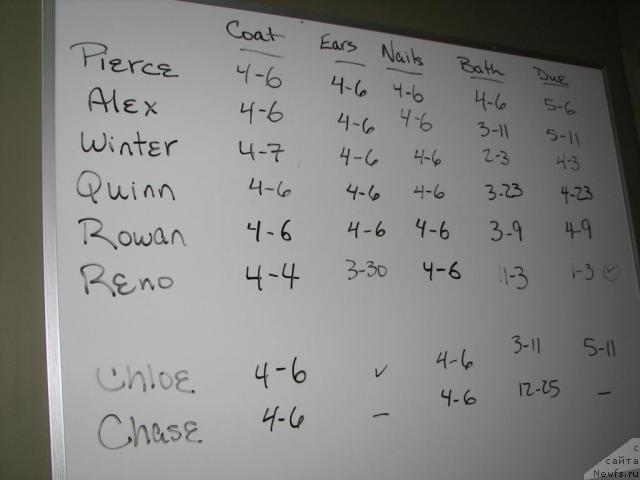 Фотография № 12527