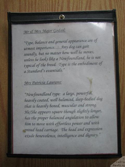 Фотография № 12528