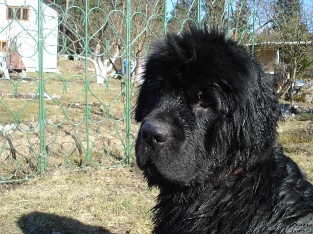 Фотография № 12529