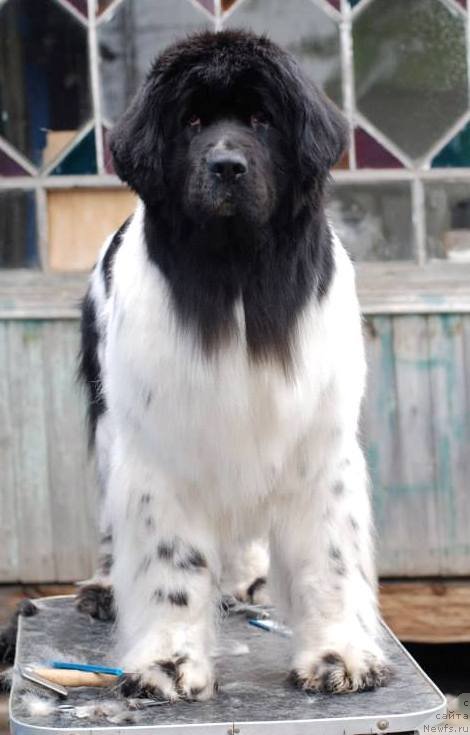 Фотография № 125325