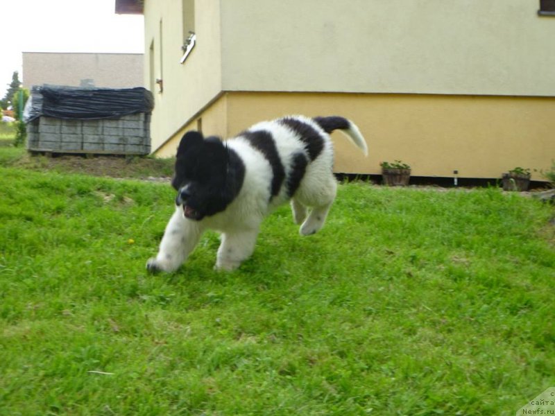 Фотография № 125346