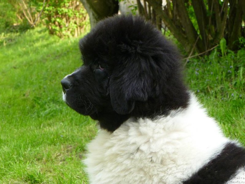 Фотография № 125347