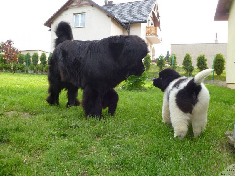 Фотография № 125350