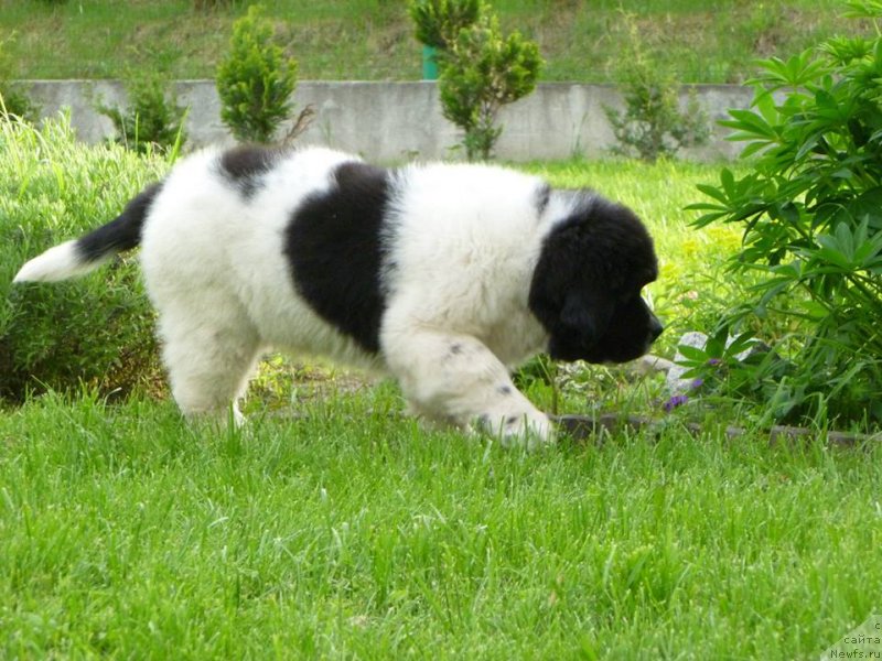 Фотография № 125351