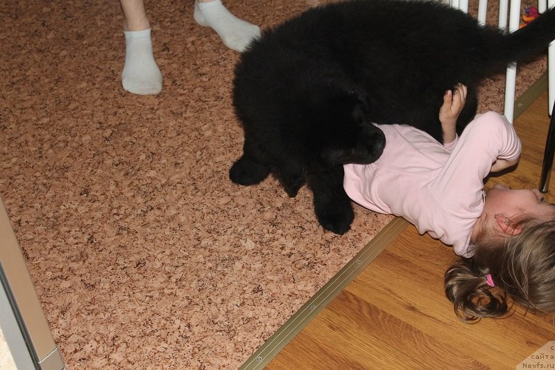 Фотография № 125389