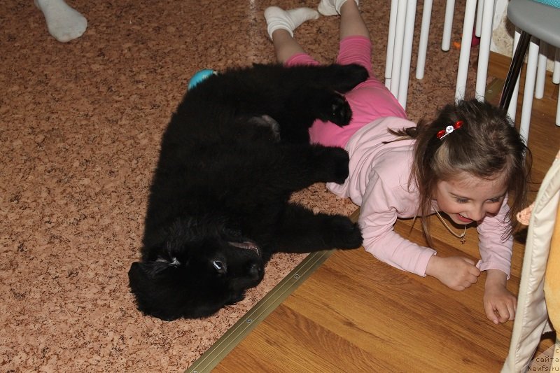 Фотография № 125390