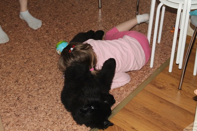 Фотография № 125391