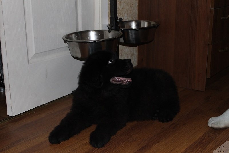 Фотография № 125393