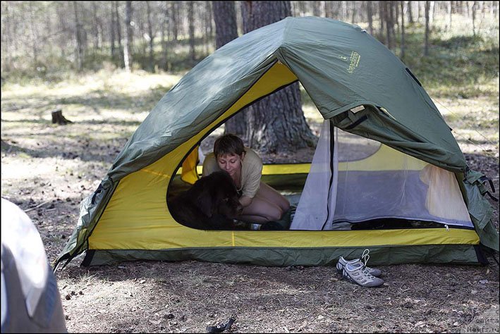 Фото: ньюфаундленд Hozjajka Doma s Berega Dona (Хозяйка Дома с Берега Дона)