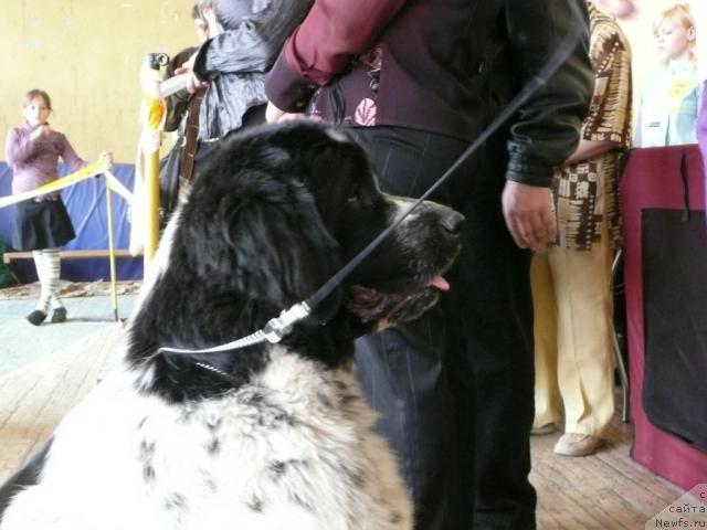 Фото: Mag Ispolin Carte Blanche for Piternyuf)