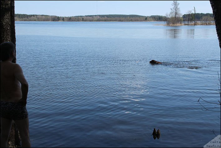 Фотография № 125401