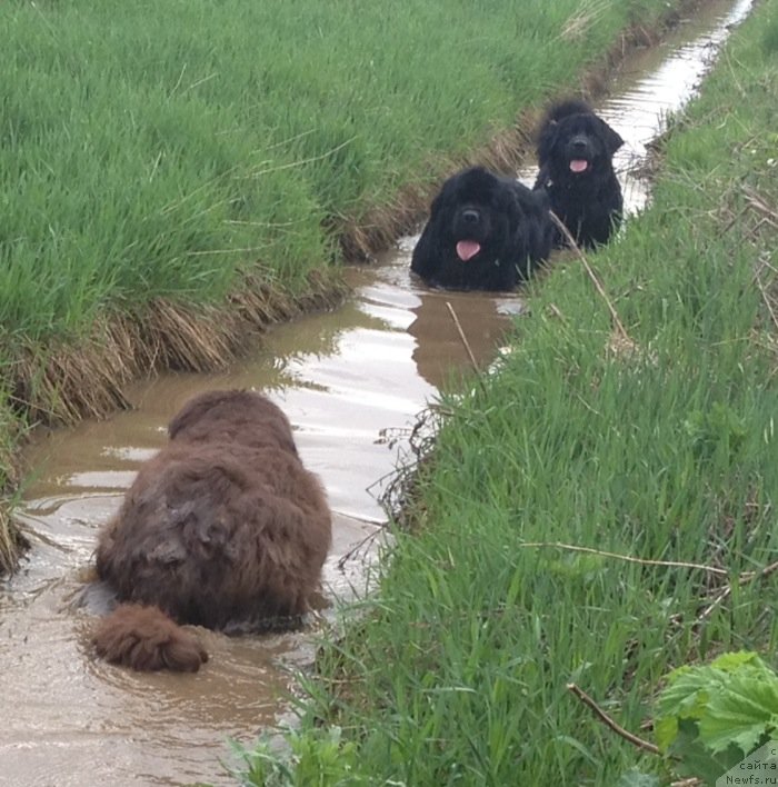 Фотография № 125449