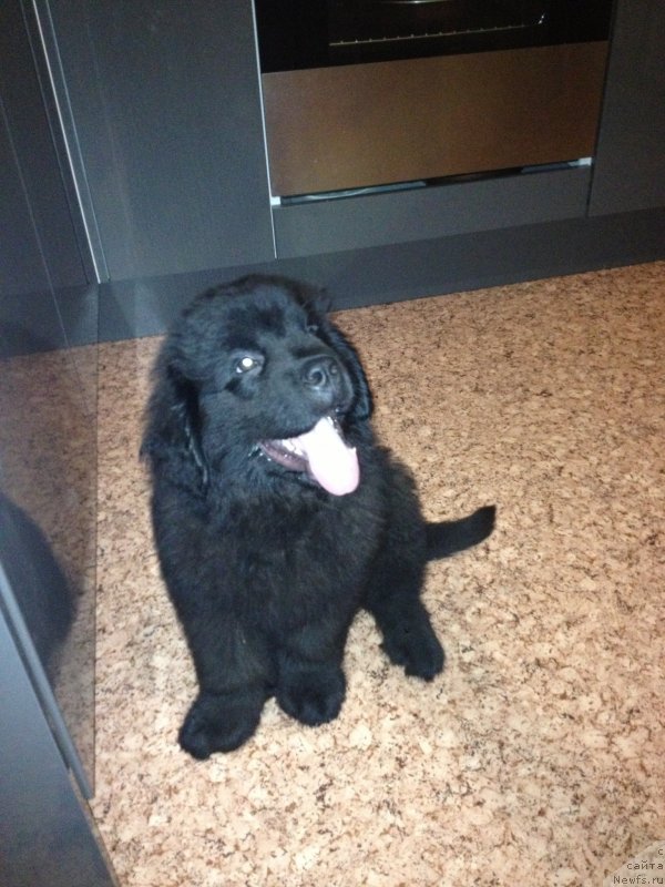 Фотография № 125469