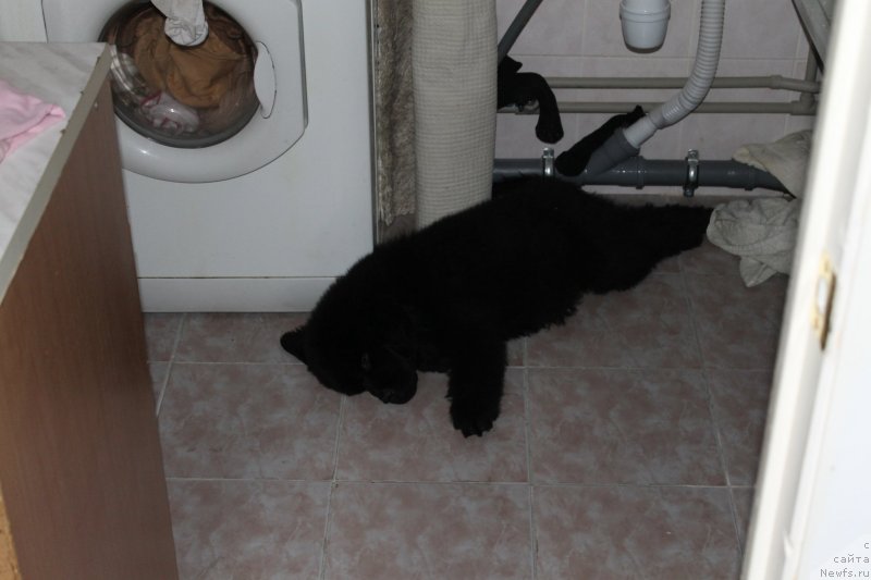 Фотография № 125470