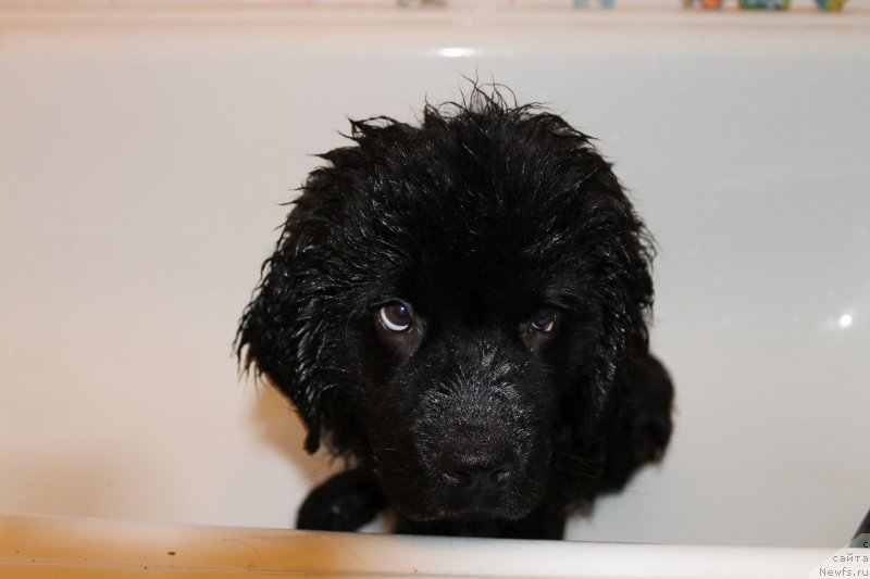 Фотография № 125471