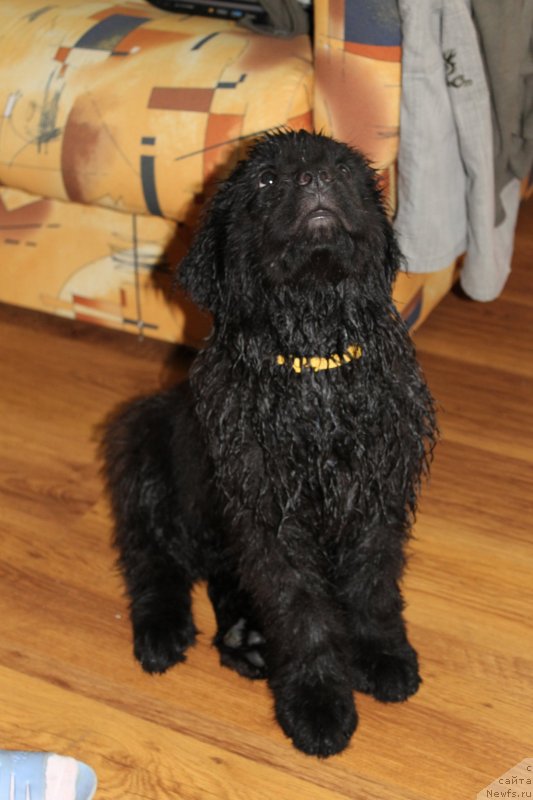 Фотография № 125472