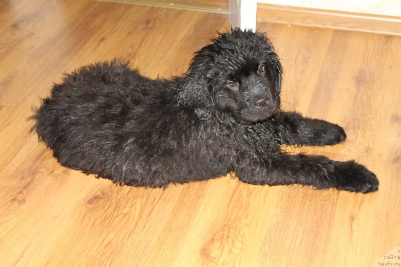 Фотография № 125473