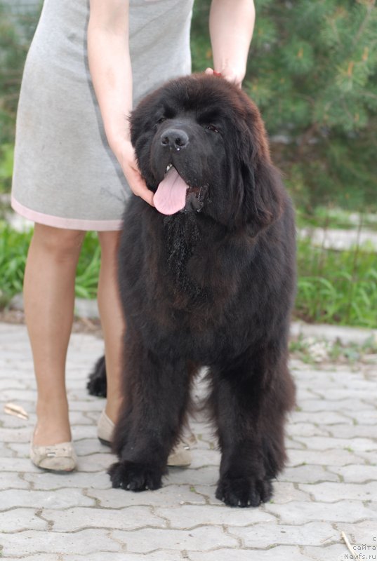 Фотография № 125506