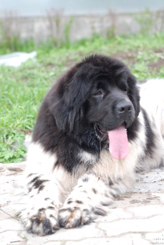 Фотография № 125507