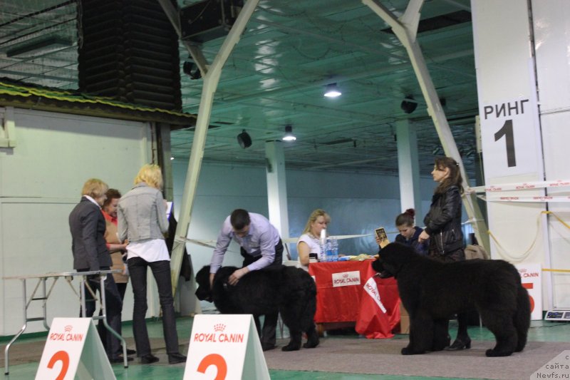 Фотография № 125537