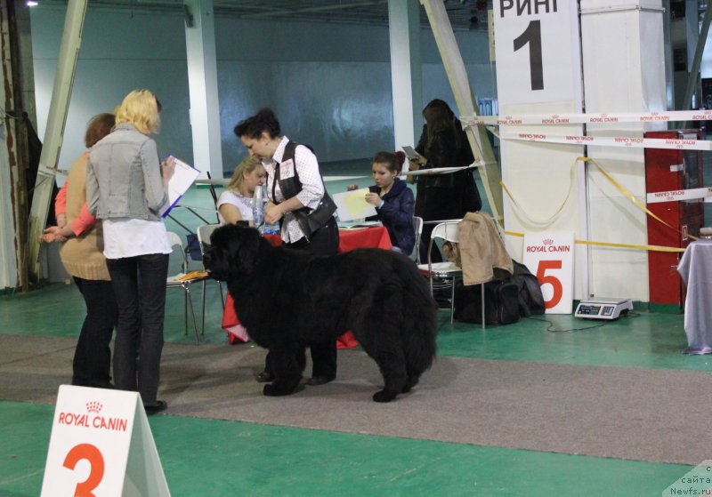 Фотография № 125539