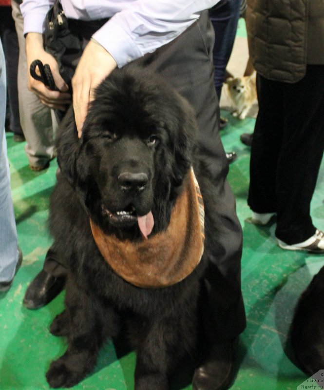 Фотография № 125553