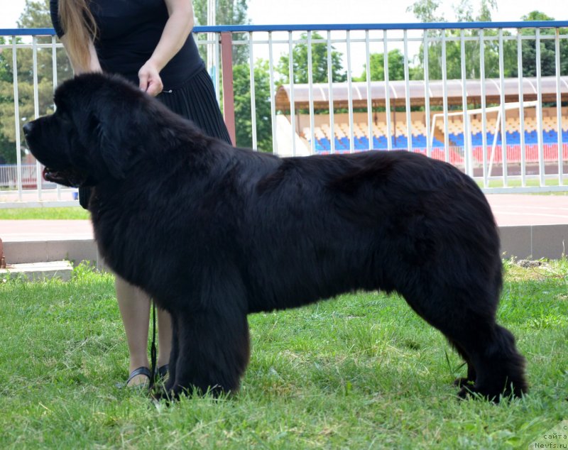 Фотография № 125556