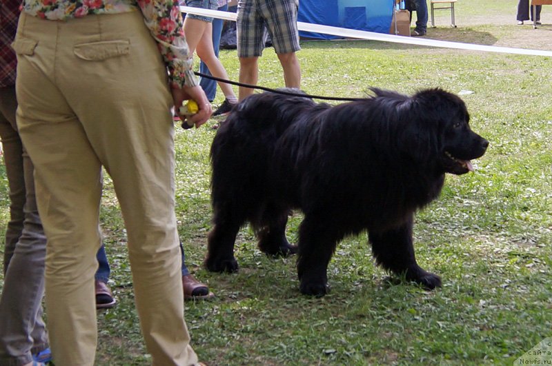 Фотография № 125581