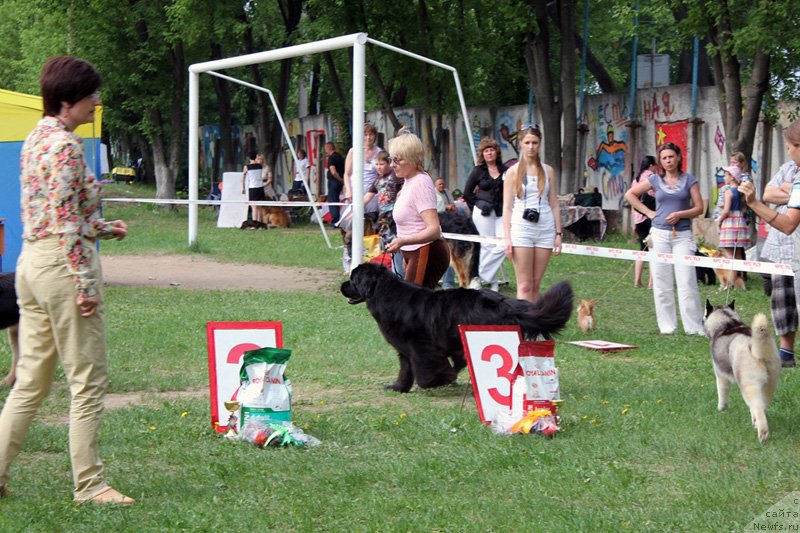 Фотография № 125587