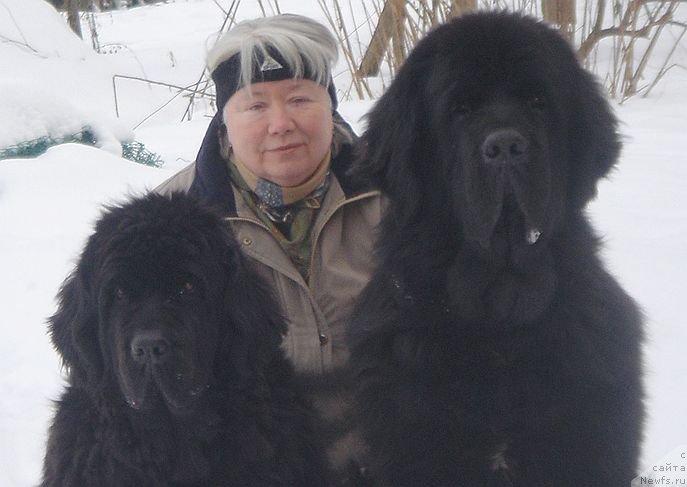 Фото: ньюфаундленд Bjornebandens Richardo Dot Com, ньюфаундленд Bjornebandens Push Up Patricia, Svetlana Zyiryanova (Светлана Зырянова)
